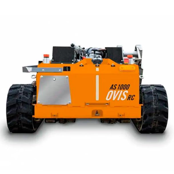     AS-Motor AS 1000 Ovis RC