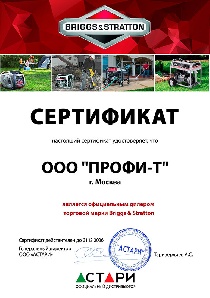 ���������� Briggs&Stratton 2026 (�������)