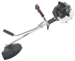  Caiman WX 24