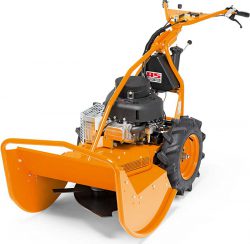 AS Motor AS 65 Scout