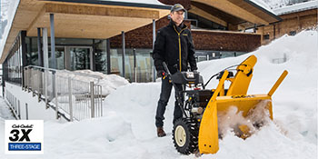  Cub Cadet