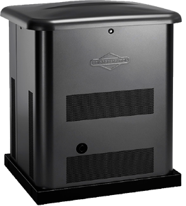   Briggs&Stratton 040494