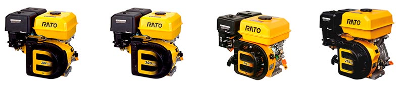 rato-02.jpg