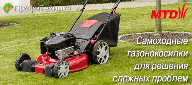  MTD