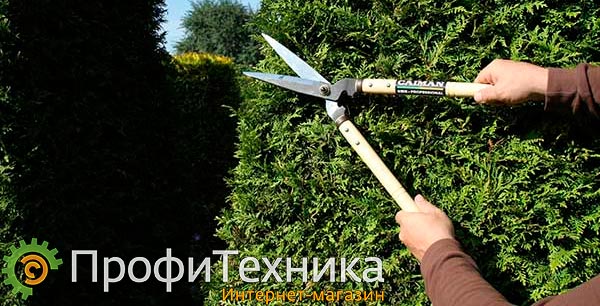 caim-17-11-01.jpg