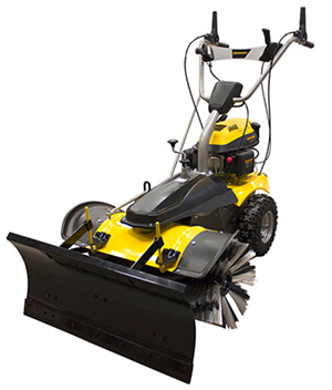   Champion GS5080