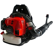   EVOline BLG 42 BP