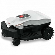 - Caiman Ambrogio Twenty 25 Elite